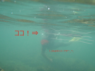 image004new.jpg